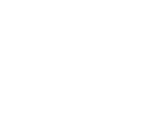Institut Darul Ridzuan IDR